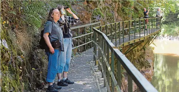  ?? Foto: Ota Bartovský, MAFRA ?? Cesta nad řekou Turisté na Riegrově stezce procházejí skalními masivy, vyhlídkami na řeku a její kaňon, cesta vede i po galerii přímo nad řekou.