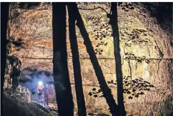  ?? FOTO: DPA ?? Einsatzkrä­fte stehen am Eingang der Falkenstei­ner Höhle.