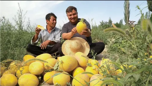  ??  ?? Villagers taste sweet melons harvested from a field in Kara Yar Village, Kashgar Prefecture, northwest China’s Xinjiang Uygur Autonomous Region