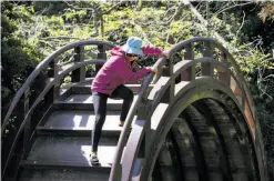  ??  ?? Mei Luo exercises caution while descending the drum bridge in the Japanese Tea Garden in Golden Gate Park. The garden needs repairs.