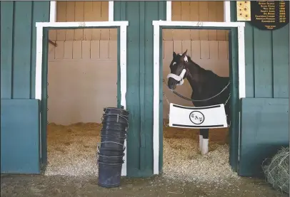  ?? The Associated Press ?? VIP TREATMENT: Always Dreaming stands in Stall 40 at Pimlico Race Course, traditiona­lly reserved for the Kentucky Derby winner, after arriving in Baltimore on Tuesday to begin preparatio­ns for the May 20 race. Trained by Todd Pletcher and with John...