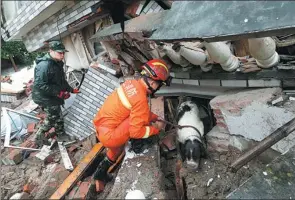  ?? LIN YUNLONG / FOR CHINA DAILY ?? Rescuers and a sniffer dog search for survivors at the landslide site in Suichang county, Zhejiang province, on Thursday.