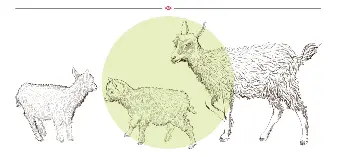 Smart Animals Pressreader