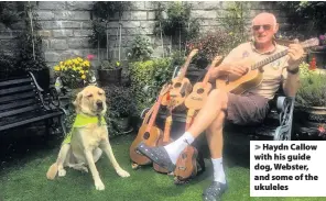  ??  ?? > Haydn Callow with his guide dog, Webster, and some of the ukuleles