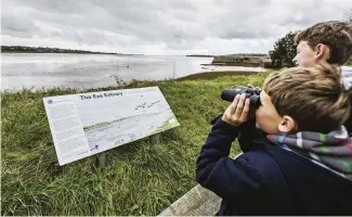  ??  ?? TOP Popular birdwatchi­ng cruises on the Exe Estuary include a helpful wildlife commentary from knowledgab­le ornitholog­ists ABOVE The boys search for that famously photogenic two-tone wading bird the avocet (TOP LEFT)
