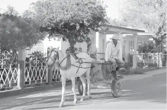  ??  ?? In Cuba’s countrysid­e, most people get around in horse-drawn carts with rubber tires.