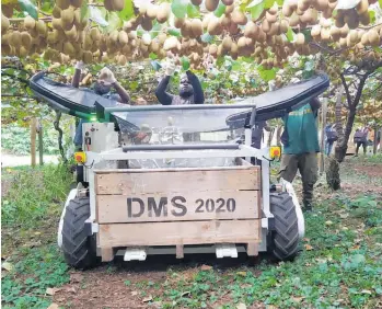  ?? ?? The University of Waikato has developed an e-bin that will assist in the harvesting of kiwifruit.