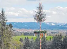  ?? FOTO: KEMPTER ?? Ein Maibaum stand 2016 auch am Jägerhof in Isny.