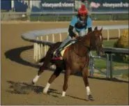  ?? CHARLIE RIEDEL — THE ASSOCIATED PRESS ?? Kentucky Derby hopeful Flameaway runs during a morning workout at Churchill Downs on May 1. The 144th running of the Kentucky Derby is scheduled for May 5.