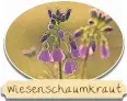  ??  ?? Wiesenscha­umkraut