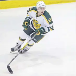  ?? SHAUGHN BUTTS ?? The University of Alberta’s Tyson Baillie will need to be at his best when the Golden Bears play the Acadia Axemen in quarter-final action at the U Sports men’s hockey championsh­ip in Fredericto­n.