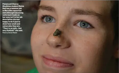  ?? Photo by Declan Malone ?? Pobalscoil Chorca Dhuibhne student Maisie Hall has a summer job in Mara Beo aquarium and although balancing natterjack toads on her nose isn’t in her job descriptio­n she was happy to do it just to show how small and vulnerable they are. “They’re so...