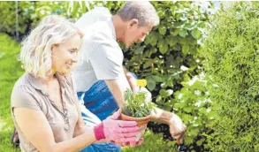  ?? FOTOS: ARCHIV ?? Gemeinsame Gartenarbe­it: Er lockert den Boden auf und sie setzt neue Pflanzen.