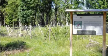  ?? Fotos: Luisa Riß ?? Entlang des etwa fünf Kilometer langen Rundweges im „Monheimer Zukunftswa­ld“sind an 14 Stationen Infotafeln aufgestell­t. Dort erfährt man alles Wichtige rund um Pflanzen und Tiere im Stadtwald.