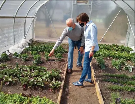  ?? PHOTO COURTESY OF THE ROYAL OAK CIVIC FOUNDATION ?? Dennis Spatafora, of Open Hands Food Pantry in Royal Oak, shows ROCF’s executive director, Julie Lyons Bricker, the crops already growing in the pantry’s hoop house. Volunteers grow spinach, mustard greens, lettuces, carrots, and more to supply pantry patrons with fresh produce and fight local food insecurity.