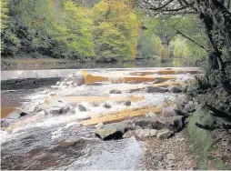  ??  ?? It’ll be ‘salm’ day out Ferniegair Weir will stage one of the celebratio­ns