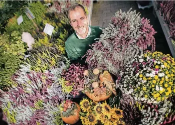  ?? RP-FOTO: RALPH MATZERATH ?? Betriebsle­iter Andreas Klein zeigt Herbstdeko­rationen für innen und außen. Gerade gefragt ist im Berghausen­er Blumentopf vor allem Heidekraut.