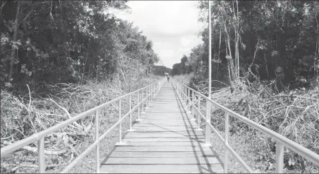  ?? (DPI photo) ?? The newly constructe­d Bridge at Wakapoa