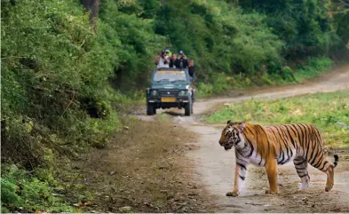  ??  ?? Jim Corbett National Park provides opportunit­ies for wildlife spotting and nature therapy; ( inset) at Vana in Dehradun, wellness comes in form of aqua therapy and Ayurvedic treatments.