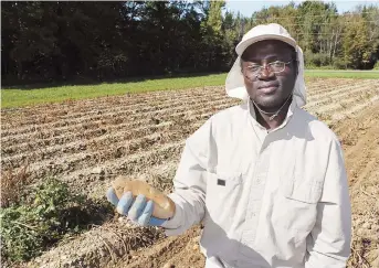  ??  ?? Le chercheur et sélectionn­eur de pommes de terre Benoit Bizimungu. Gracieuset­é