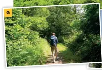  ??  ?? G Enjoy the spectacula­r views from Long Mynd to Carding Mill Valley