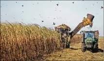  ?? JOE RIMKUS JR./MIAMI HERALD ?? Birds fly from the front of a sugar cane harvester in U.S. Sugar’s fields in Clewiston, Fla. A fight is brewing within the GOP over rules propping up domestic sugar production.