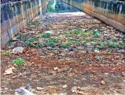  ?? ?? The polluted north canal in Korattur