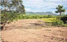  ?? FOTO: PRIVAT ?? In reizvollem Gelände auf den Philippine­n werden mit der Spende aus Gammerting­en 1000 Falcata-Setzlinge (sehr schnell wachsende Nutzbäume) gepflanzt.