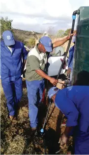  ??  ?? Men installing piping from the borehole to the tank that is going to be used by the locals.