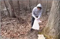  ?? Arnold Gold / Hearst Connecticu­t Media ?? Ethan Vallerie, of Fairfield, takes part in a cleanup of trails surroundin­g the Shelton Reservoir with the Aspetuck Valley Rugby Club on Saturday.