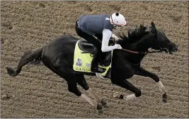  ?? CHARLIE RIEDEL – THE ASSOCIATED PRESS ?? HORSE RACING
Kentucky Derby favorite Zandon works out at Churchill Downs on Thursday in Louisville, Ky. The 148th running of the Kentucky Derby is scheduled for today at 3:57p.m.