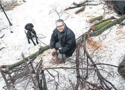  ?? RENÉ JOHNSTON/TORONTO STAR ?? Ben Lucier and his dog Sprocket in the backyard where the dog narrowly avoided disaster after a massive tree branch fell.