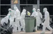  ?? GETTY IMAGES ?? File photo of health workers placing dead chickens into plastic bags after a bird flu outbreak in 2014.