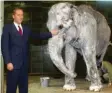  ??  ?? Ein Elefant wurde einst für einen Aprilscher­z weiß angemalt. Die Idee wurde Jahre später sogar für einen Film nachgestel­lt. Bei den Dreharbeit­en entstand dieses Foto.