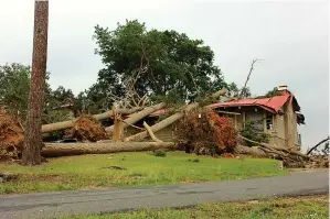  ?? (The Sentinel-record/james Leigh) ?? Storm damage is seen in the 100 block of Hamilton Oaks Drive Wednesday morning, just off Central Avenue.