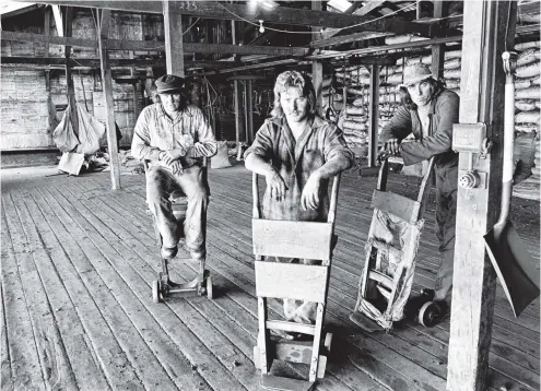  ?? PHOTO: ODT FILES ?? The coal shortage in February 1979 left coal docks at Coal Supplies Wholesale Ltd Dunedin, bare. From left, Chris Dyer, Luke Stockdale and Jack Cairns stand where there are usually piles of coal ready bagged for sale.