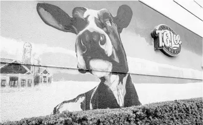  ?? PATRICK CONNOLLY/ORLANDO SENTINEL ?? A preview of a new Milk District mural shows cows in a pasture and a barn on the side of T.G. Lee Dairy on Oct. 9.