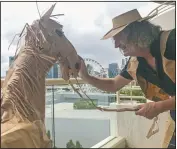  ??  ?? David Marriott poses with his paper horse Russel on the balcony of his hotel room in Brisbane, Australia. (Courtesy Photos/David Marriott)