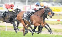  ?? Photo / Race Images ?? Germanicus, winning at Awapuni, is a top chance today.