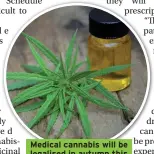  ??  ?? Medical cannabis will be legalised in autumn this year