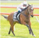  ?? Photo / Race Images ?? Key could seal her broodmare career at Otaki.