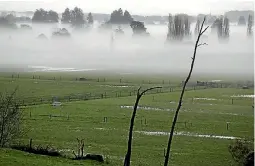  ?? KELLY HODEL / STUFF ?? Waikato’s wet weather is affecting both farmers and livestock.