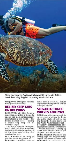  ??  ?? Close encounter: Swim with hawksbill turtles in Belize. Inset: Teaching English to young monks in Laos