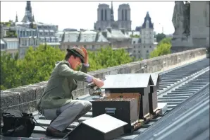  ?? PATRICK KOVARIK / AGENCE FRANCE-PRESSE ?? Beekeeper Audric de Campeau checks his hives on the roof of the Monnaie de Paris in June.