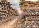  ?? Photo / Getty Images ?? Forestry Minister Shane Jones is working to address this skewed market with the Forests Amendment Bill, which seeks to ensure foreign log traders give domestic processors a fairer deal.