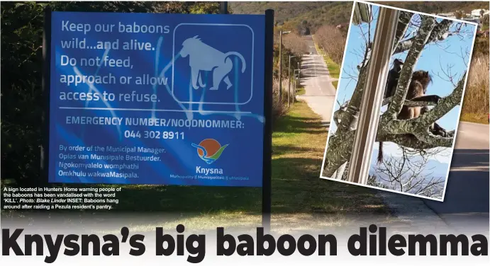  ??  ?? A sign located in Hunters Home warning people of the baboons has been vandalised with the word ‘KILL’. Photo: Blake Linder INSET: Baboons hang around after raiding a Pezula resident’s pantry.