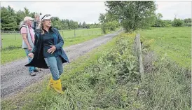  ?? MATHEW MCCARTHY WATERLOO REGION RECORD ?? Linda Hale shows the spot where she was thrown from her horse, Noah, during a ride in Puslinch Township.