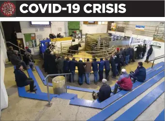  ??  ?? A thinned down attendance at the New Ross Mart in early March, before the marts were closed. The mart has now re-opened but buyers stayed in their vehicles for a sale last Thursday.
