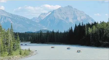  ?? BARRY GRAY THE HAMILTON SPECTATOR ?? Whitewater rafters paddle near Jasper, Alberta.