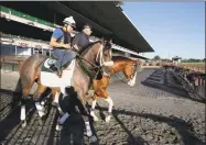  ?? Mark Lennihan / Associated Press ?? Preakness winner Oxbow, left, enters the track for a light workout at Belmont Park in Elmont, N.Y., in 2013.